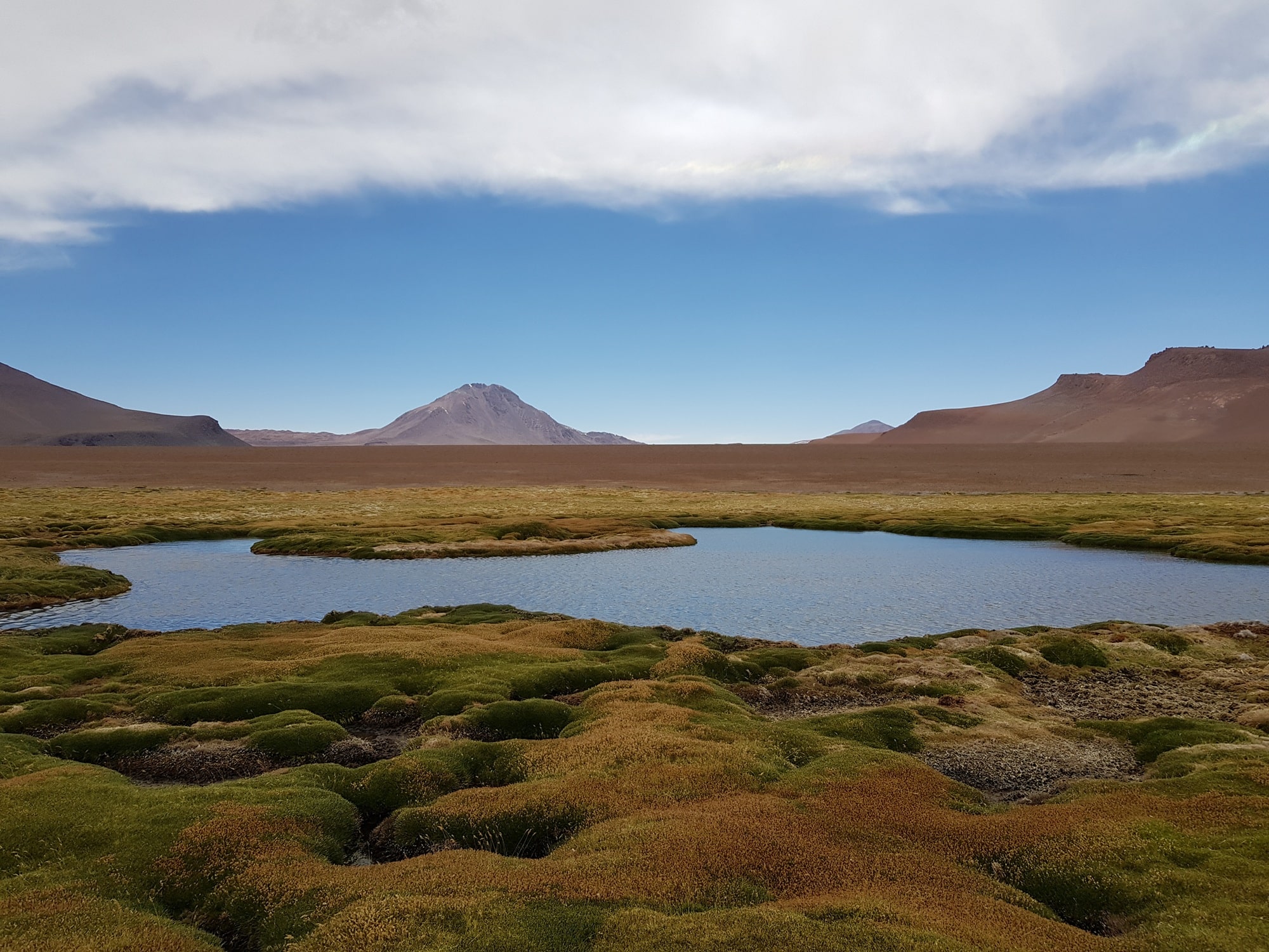 Laguna Chaxa