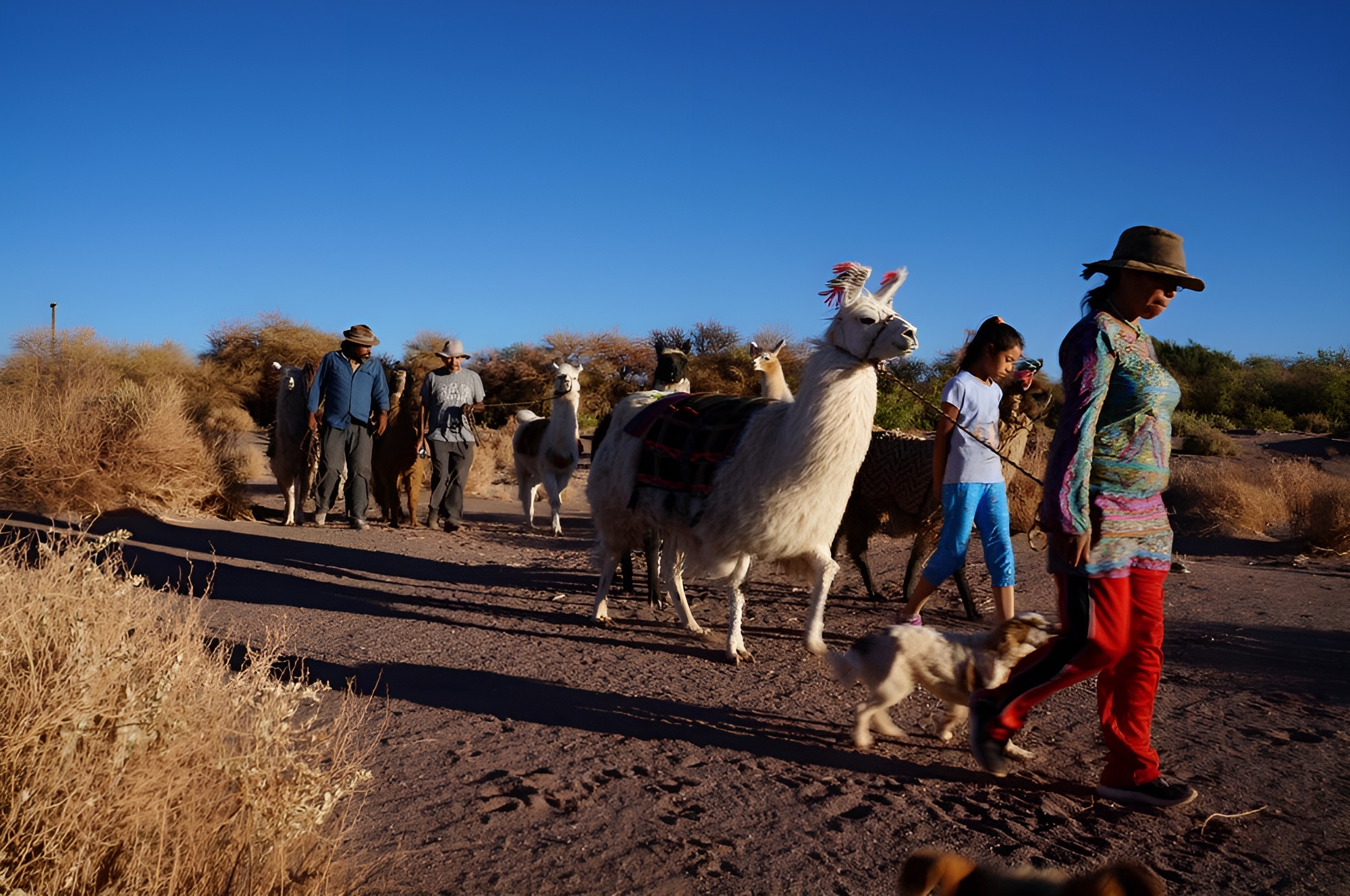 Caravana Ancestral